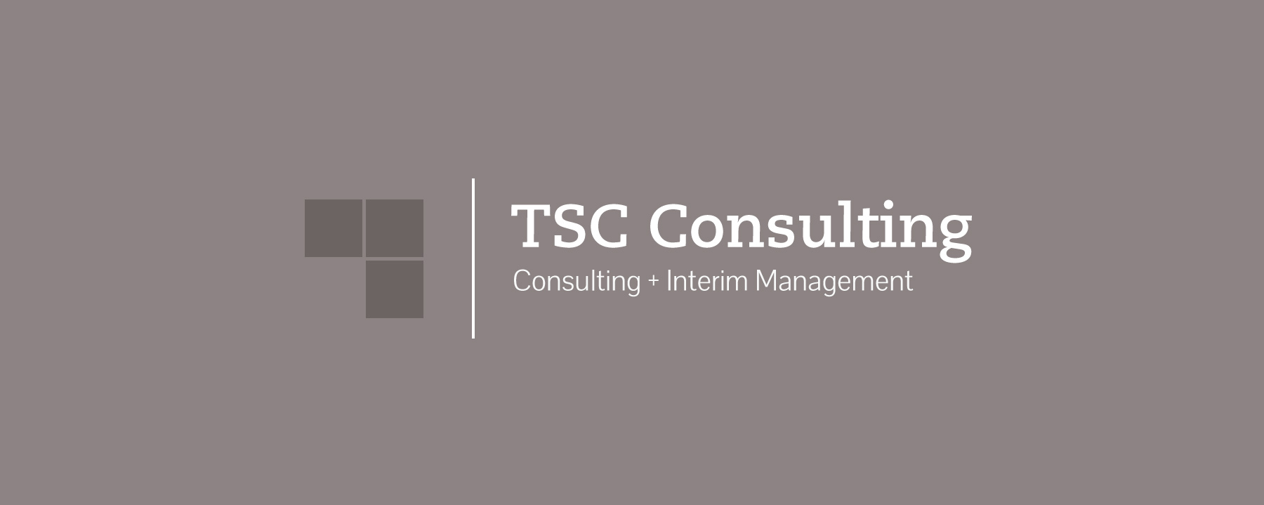 Logogestaltung TSC-Consulting | Groß Gerau | by Ilyas Susever